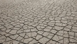 a dense network of interconnected alligator cracks covering a large area of weathered asphalt pavement.