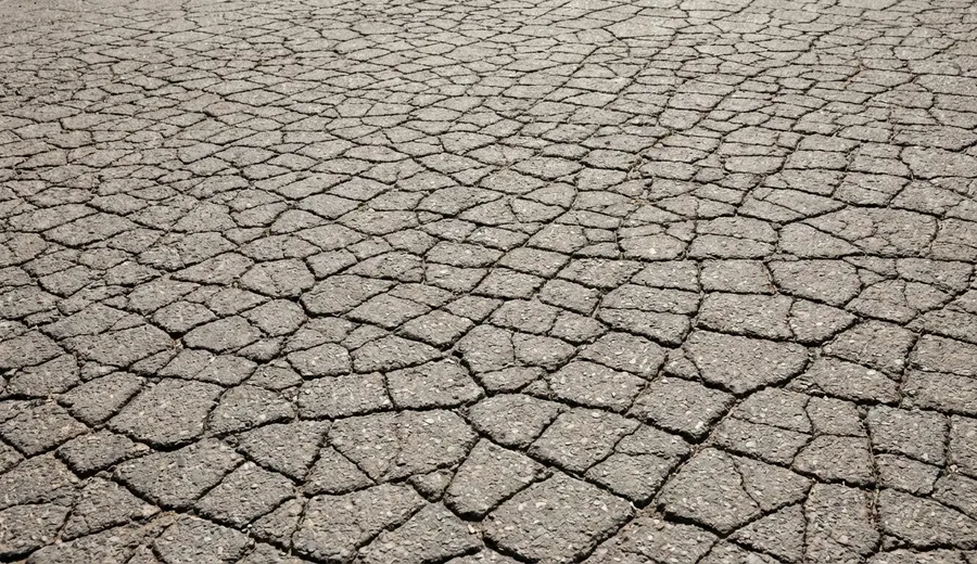 a dense network of interconnected alligator cracks covering a large area of weathered asphalt pavement.